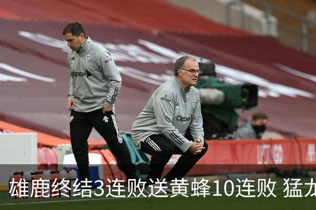 雄鹿终结3连败送黄蜂10连败 猛龙送火箭3连败